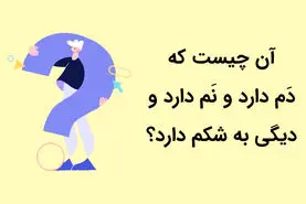 چیستان روز | آن چیست که دَم دارد و نَم دارد و دیگی به شکم دارد؟