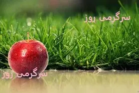 آموزش کاشت سبزه سیب برای عید نوروز