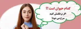 چیستان آسون پرومکس |  کدام حیوان را اگر برعکسش کنید سرخ می شود!؟