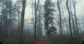 بازی فکری : چشم عقابی ها بیان جلو و روباه رو تو 10 ثانیه پیدا کنن!