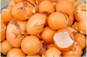  ترفند جادویی باز کردن سینک با تخم مرغ که تا حالا نمیدونستیم | عمرا اگه میدونستی پوست تخم مرغ چه کاربردای خفنی داره