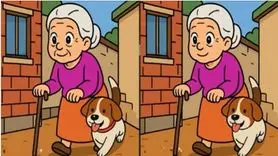 بازی فکری : اگه خیلی با استعداد و نخبه ای 3 تفاوت و تو 10 ثانیه پیدا کن!