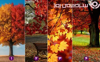 روانشناسی شخصیت : با انتخاب یک منظره پاییزی بفهمید در پاییز چه اتفاقی برای شما می افتد!