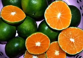  ترفندهای خانگی نگهداری نارنگی تازه تا مدت زیاد در خانه