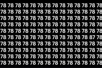 بازی فکری: فقط ۳٪ افراد با دید ۴K می‌توانند عدد ۸۷ را در ۷ ثانیه پیدا کنند!