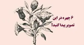 تست هوش و معما | فقط یک نابغه می تواند هر 6 چهره مخفی در این تصویر را پیدا کند؟ + پاسخ