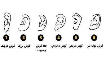 تست شخصیت‌شناسی | فرم گوش شما، نیمه پنهان‌تان را لو می‌دهد!