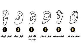 تست شخصیت‌شناسی | فرم گوش شما، نیمه پنهان‌تان را لو می‌دهد!