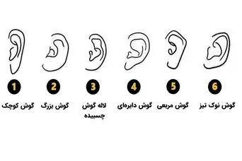 تست شخصیت‌شناسی | فرم گوش شما، نیمه پنهان‌تان را لو می‌دهد!