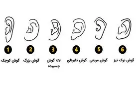 تست شخصیت‌شناسی | فرم گوش شما، نیمه پنهان‌تان را لو می‌دهد!
