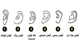 تست شخصیت‌شناسی | فرم گوش شما، نیمه پنهان‌تان را لو می‌دهد!