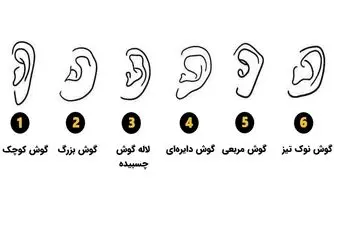 تست شخصیت‌شناسی | فرم گوش شما، نیمه پنهان‌تان را لو می‌دهد!