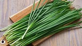  مصرف این سبزی در صبحانه سردی و سموم و کم خونی را درمان می کند + بهبود ناراحتی کبد و زخم های کثیف و چرک دار 