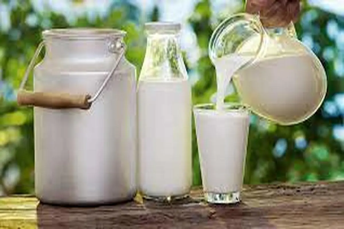 عمرا اگه میدونستی شیر فاسد و نباید دور بریزی | کاربردهای شیر فاسد برای خونه و زندگی