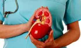  اگر این نشانه ها را دارید کلیه شما در خطر است 