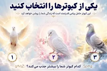 با انتخاب یک کبوتر بفهمید چه چیزهایی سکوت شمارو می شکند!