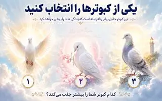 با انتخاب یک کبوتر بفهمید چه چیزهایی سکوت شمارو می شکند!