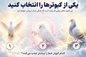 با انتخاب یک کبوتر بفهمید چه چیزهایی سکوت شمارو می شکند!