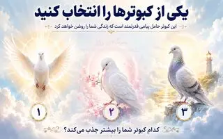 با انتخاب یک کبوتر بفهمید چه چیزهایی سکوت شمارو می شکند!
