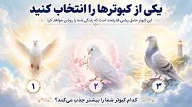 با انتخاب یک کبوتر بفهمید چه چیزهایی سکوت شمارو می شکند!