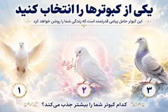 با انتخاب یک کبوتر بفهمید چه چیزهایی سکوت شمارو می شکند!