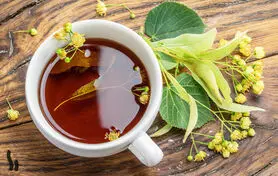 اکثر ریشه فشار خون کارمندان عصبی است با این گونه گیاهی آن را برای همیشه درمان کنید