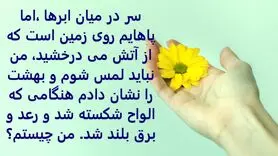 چیستان روز | سر در میان ابرها ،اما پاهایم روی زمین است؟

