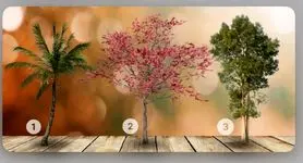 تست شخصیت شناسی: کدام یک از این سه درخت را دوست دارید؟ بفهمید درونگراتر هستید یا برونگراتر!