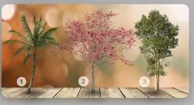 تست شخصیت شناسی: کدام یک از این سه درخت را دوست دارید؟ بفهمید درونگراتر هستید یا برونگراتر!