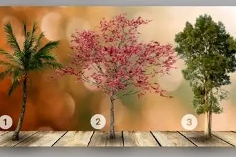 تست شخصیت شناسی: کدام یک از این سه درخت را دوست دارید؟ بفهمید درونگراتر هستید یا برونگراتر!