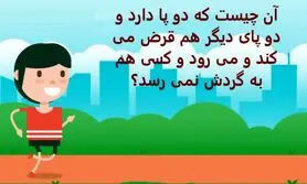 چیستان روز |آن چیست که دو پا دارد و دو پای دیگر هم قرض می کند و می رود و کسی هم به گردش نمی رسد؟

