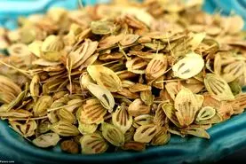  این گیاه خاصیت ضد درد ، بیماری قارچی را درمان کنید و خاصیت ضد دیابتی دارد 