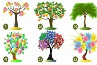 تست شخصیت شناسی : درخت مورد علاقت و انتخاب کن و بفهمید چقدر خونسر هستید!