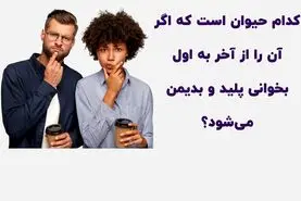 چیستان روز | کدام حیوان است که اگر آن را از آخر به اول بخوانی پلید و بدیمن می‌شود؟

