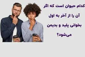 چیستان روز | کدام حیوان است که اگر آن را از آخر به اول بخوانی پلید و بدیمن می‌شود؟

