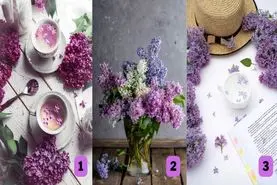 تست شخصیت شناسی: با انتخاب یک تصویر بفهمید بفهمید چه چیزی شما را ضعیف می کند!