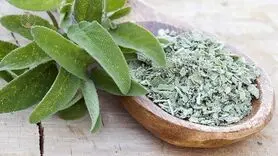 دم کرده این گیاهی برای دورکردن افکار منفی و تقویت حافظه عالی عمل می کند