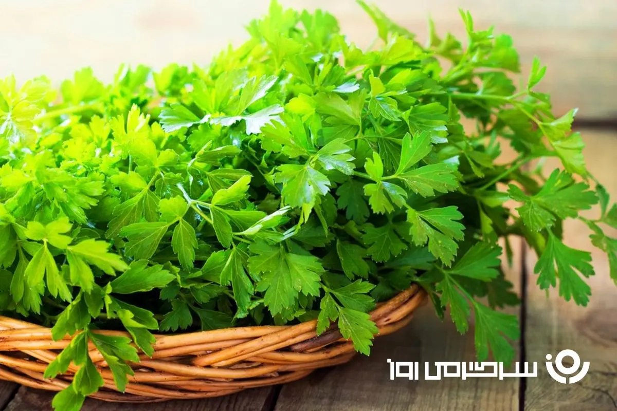 این سبزی خوشمزه 3 برابر پرتقال ویتامین C دارد