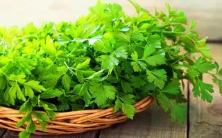 این سبزی همه کاره کلیه‌ها را تصفیه و استخوان و دندان‌ها را تقویت می‌کند