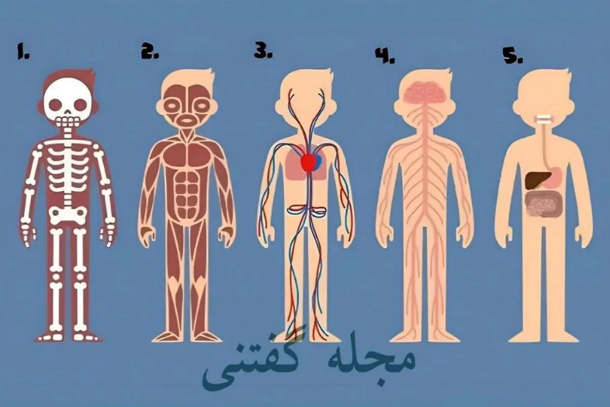 تست شخصیت شناسی | بگو از نظرت کجای بدن نقش حیاتی تری داره؟ تا چه چیزی برات اهمیت داره