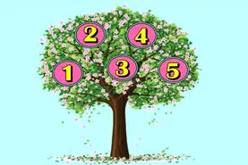 درخت آرزوی من |  یک عدد را انتخاب کنید و ببینید آیا امروز به خواستت میرسی یا نه