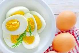  بلایی که خوردن تخم مرغ سرتان می آورد  | عمرا اگه میدونستی هر روز این بلارو با خوردن تخم مرغ سر خودت میاری