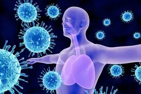 با این خوراکی خوشمزه سیستم ایمنی بدنتو تقویت کن | مواد طبیعی تقویت سیستم ایمنی بدن