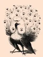 بازی فکری : اگه هوشت زبون زد خاص و عامه تو 4 ثانیه چهره مخفی و پیدا کن!