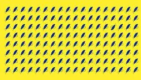 بازی فکری : اگر دید عقابی دارید در ۱۸ ثانیه ۲ پر مختلف را پیدا کنید!