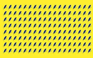 بازی فکری : اگر دید عقابی دارید در ۱۸ ثانیه ۲ پر مختلف را پیدا کنید!