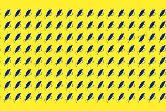 بازی فکری : اگر دید عقابی دارید در ۱۸ ثانیه ۲ پر مختلف را پیدا کنید!