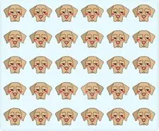 بازی فکری: افراد معمولی هرگز نمی توانند سگ متفاوت را در ۶ ثانیه پیدا کنند!