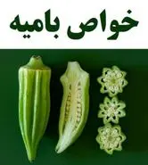 این سبزی سرشار از ویتامین های C، K و فولات و سرشار از آنتی اکسیدان با داشتن فیبر بالا بصورت ناشتا موثرتر از انسولین میباشد