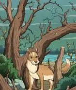 بازی فکری : اگه زیر 5 ثانیه گربه مخفی و پیدا کنی چشم هات 10/10 هست!